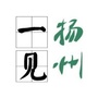 一见扬州ico