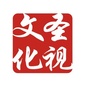 上海圣视文化ico