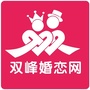 双峰婚恋网ico