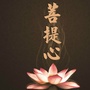 十方菩提心ico