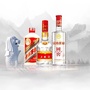 新中有侠ico