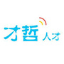 上海才哲猎头公众号ico