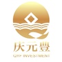 庆元豊ico