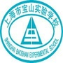 上海市宝山实验学校ico