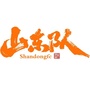 山东队公众号ico