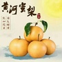 上壬梨园ico