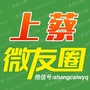 上蔡微友圈vico