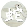 生肖蛇运势天天看公众号ico