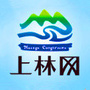 上林网ico