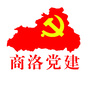商洛党建ico