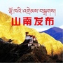山南发布公众号ico