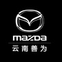 云南善为汽车公众号ico