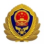 绍兴越城消防ico