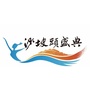 沙坡头盛典ico