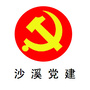 沙溪党建ico