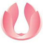 上海白玉兰医院公众号ico