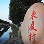 东夏村委会ico