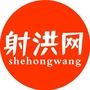 射洪网ico