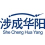 涉成华阳公众号ico