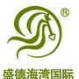 盛德海湾国际ico