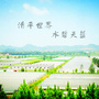 生态界水ico