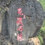 生态瓦渡ico