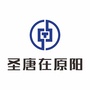 圣唐在原阳ico