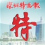 深圳特区报ico