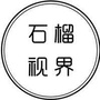 石榴视界ico