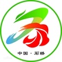 魅力石桥ico