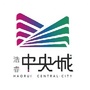 中央城绣林古街公众号ico