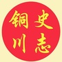 史志铜川ico