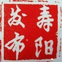 寿阳发布ico