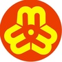 绥化女性ico