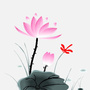 心升莲花公众号ico