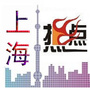上海热点公众号ico
