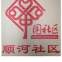 新都区顺河社区青年ico