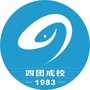 四团成校ico