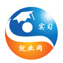 实习就业网ico