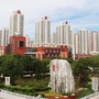 魅力双街村ico