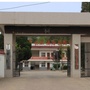 双龙国有生态实验林场ico