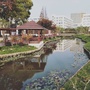 水韵澧溪ico