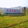溪霞玫瑰花谷公众号ico