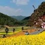 晋宁双河ico