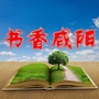 书香咸阳ico