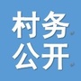 三合乡政府村务公开ico