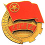 兵团八师一四三团团委ico