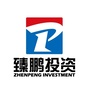 臻鹏投资公众号ico