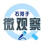石河子微观察ico