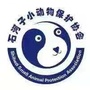 石河子小动物保护协会ico